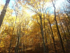 Photo Credit:  Katie Keier