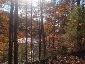 551309_10202037471235068_817179958_n