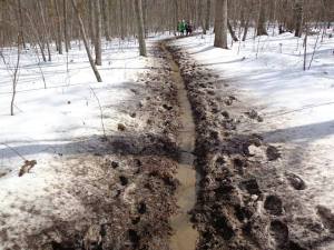 Trail conditions for most of the race.  