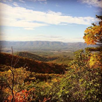 10712960_10204616486239475_4520871337758818170_n