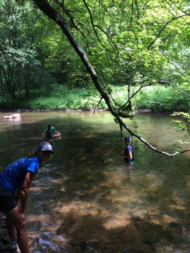 13626633_10209558449945479_9192231026060385168_n